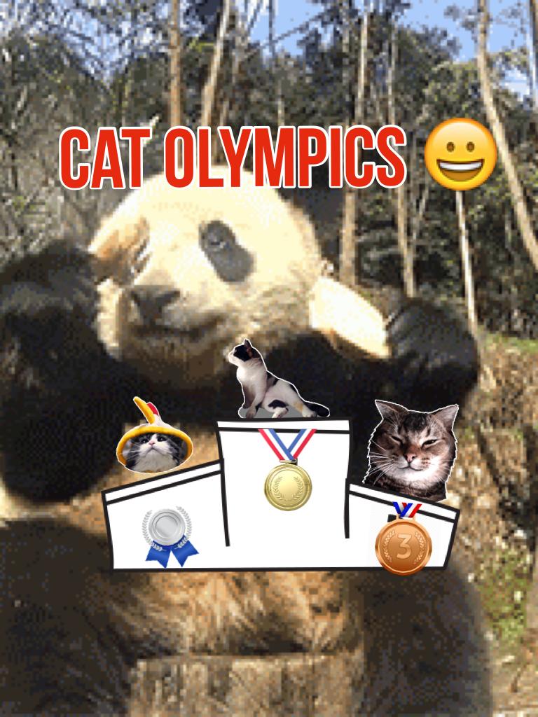 Cat olympics 😀