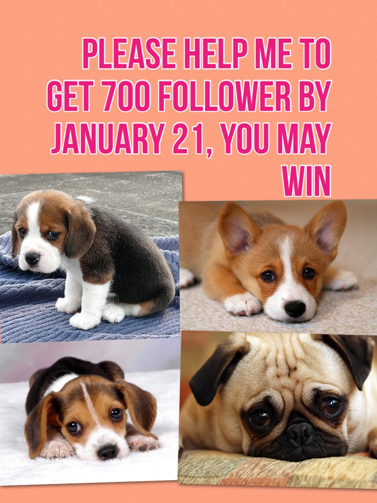 Please Help me to get 700 follower by January 21, you may win