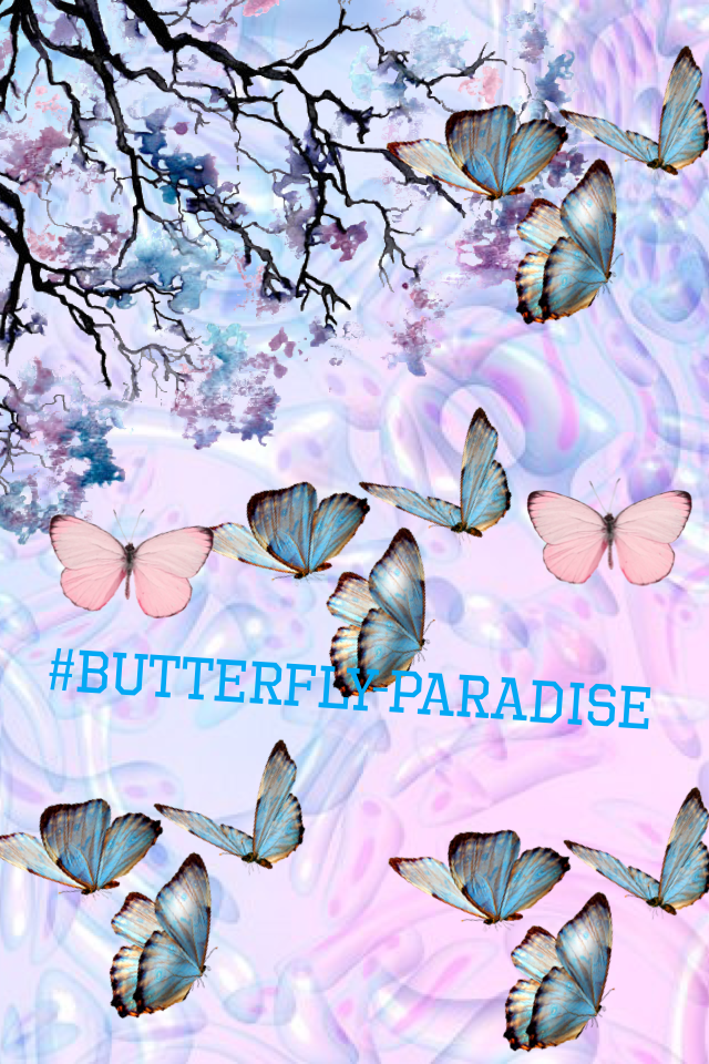 #butterfly-paradise