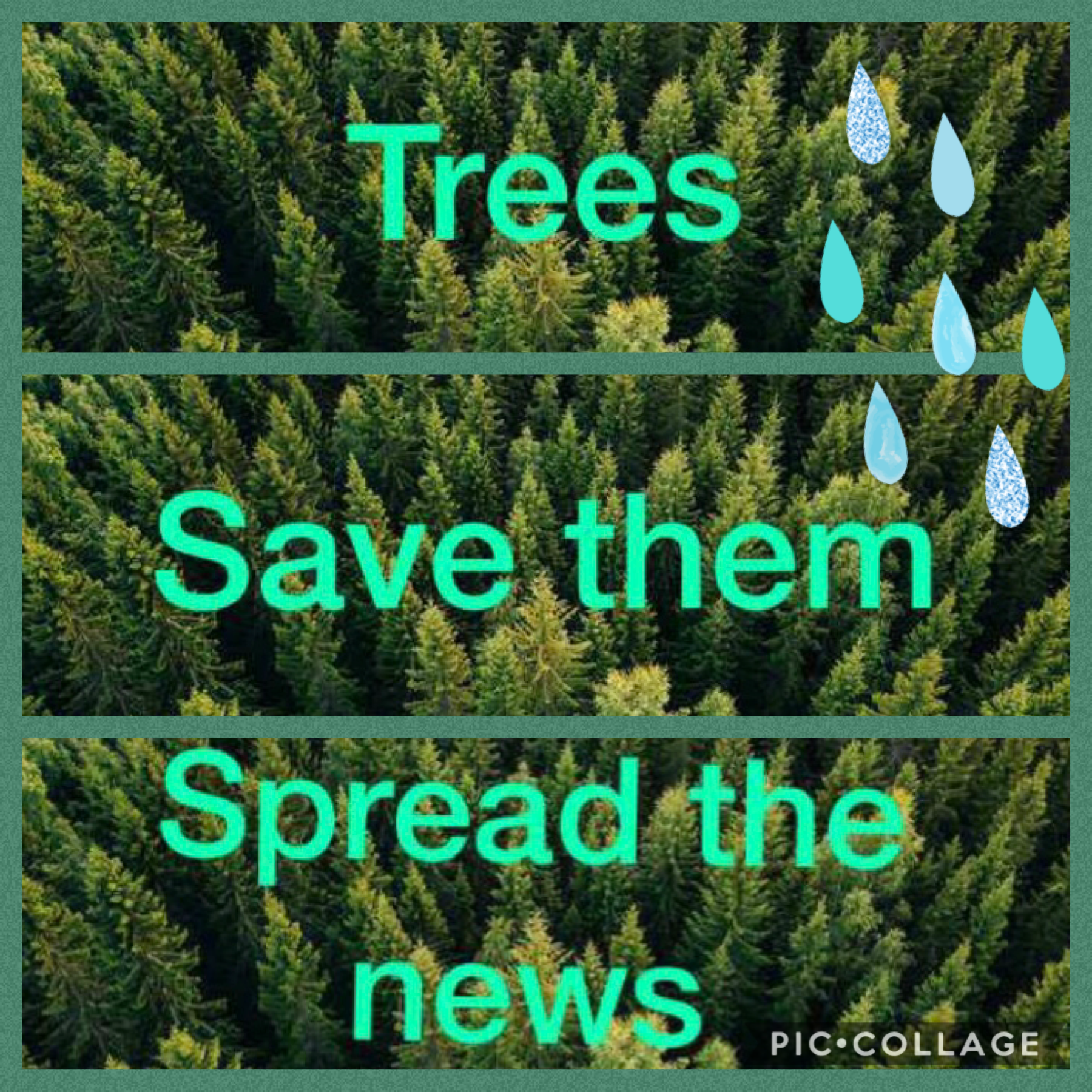 Save trees 
#like my collage pls 😘😘💞