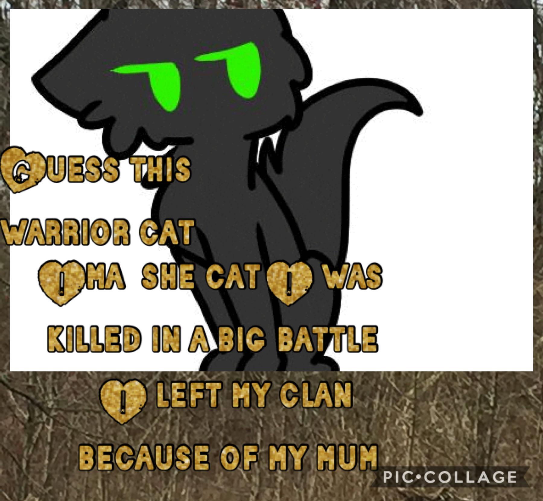 Guess this warrior cat!