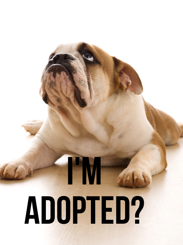 I'm Adopted?