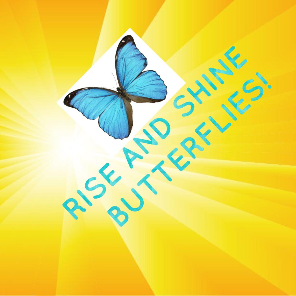 RISE AND SHINE BUTTERFLIES!