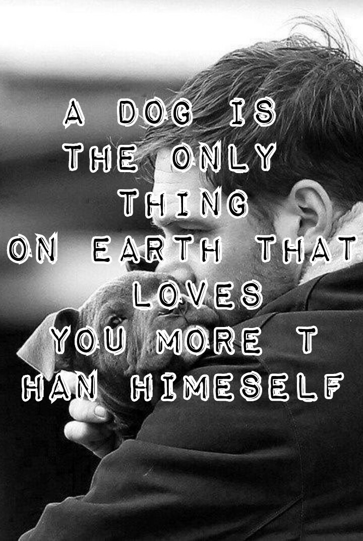 A dog is 
The only 
thing
On earth that
 loves
You more t
han himeself