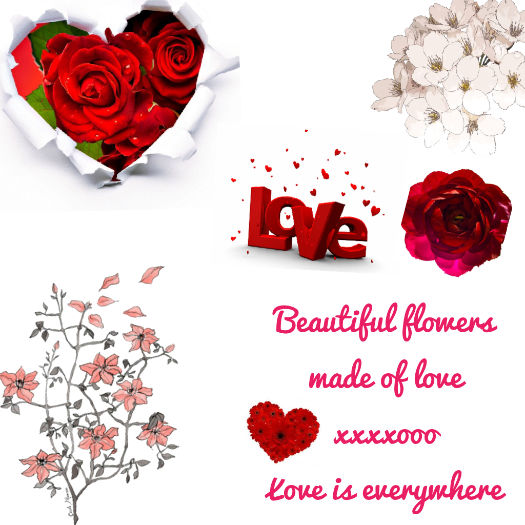 Beautiful flowers made of love xxxxooo 
Love is everywhere 