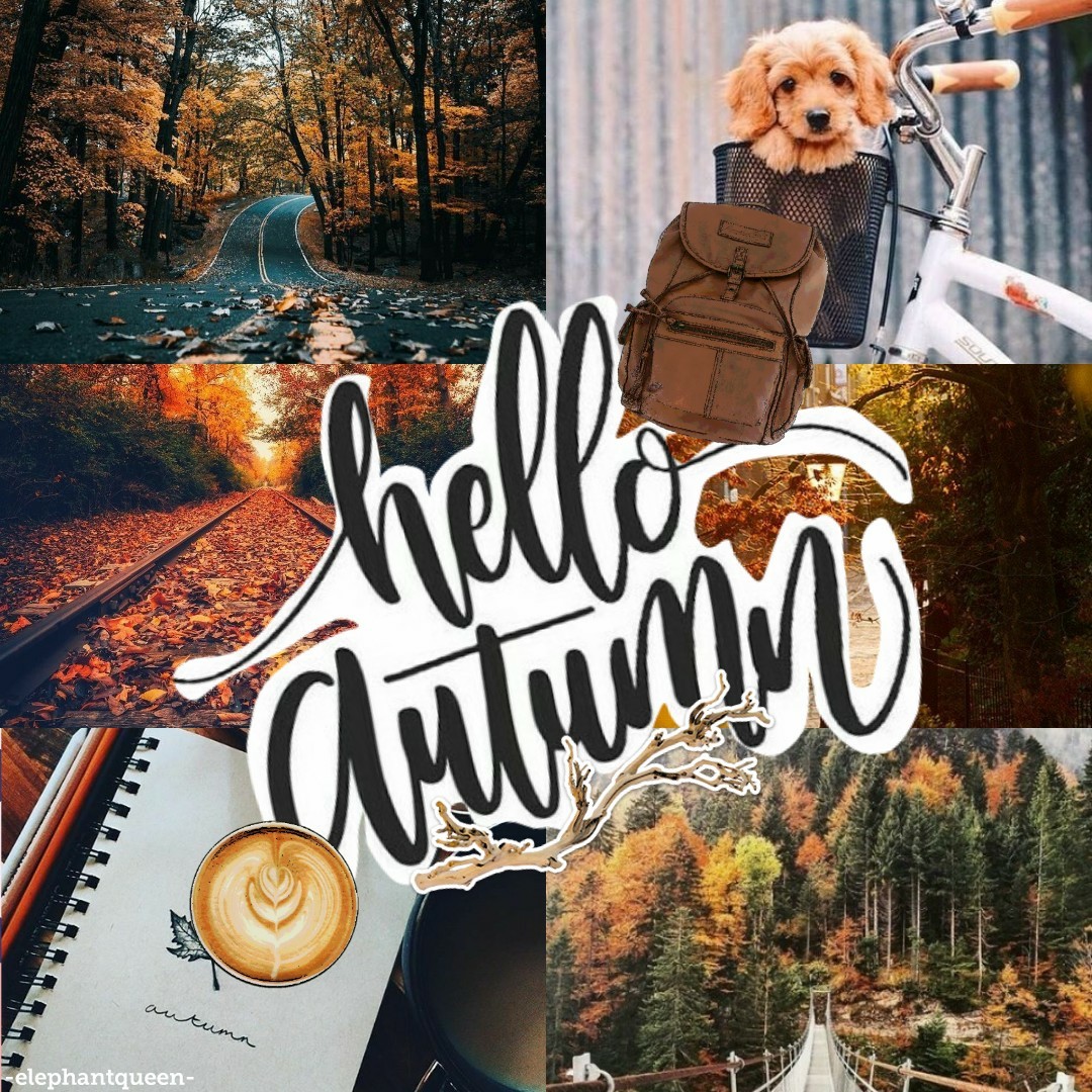 happy autumn🍁 || tap
hey this is kinda late but oh well 🤷🏼✨ anyways hope you all have a good time at school for those going back !! (haha like anyone enjoys school the only reason I'm going bc it's the law 😂) pconly 🍁✨