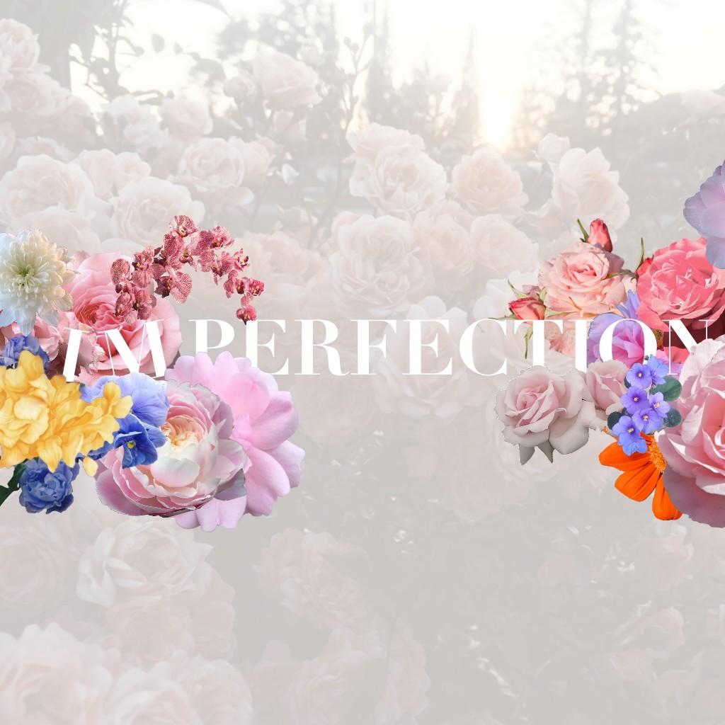 Hi! The quote is supposed to say imperfection, not I'm Perfection lol 
