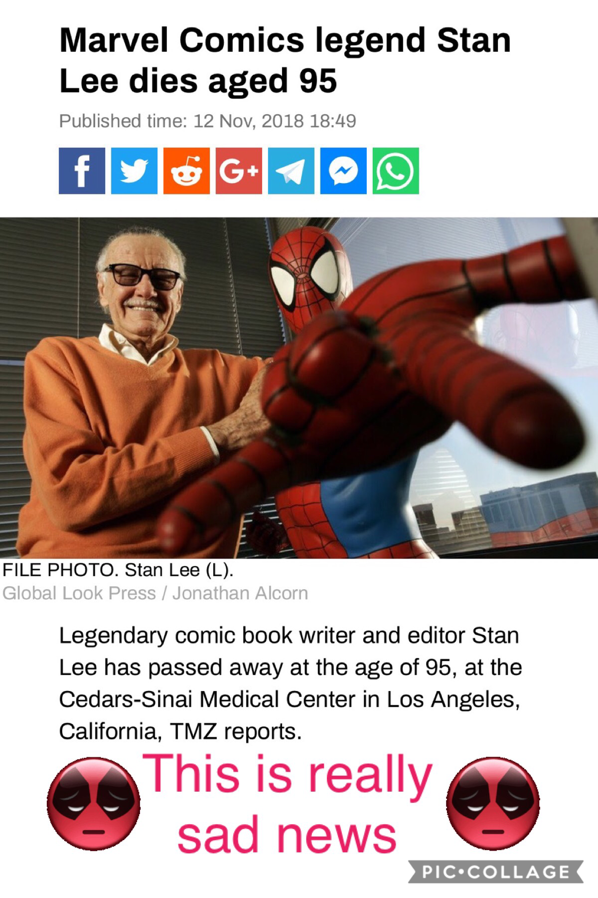 Stan Lee will always be remembered😭😭😭