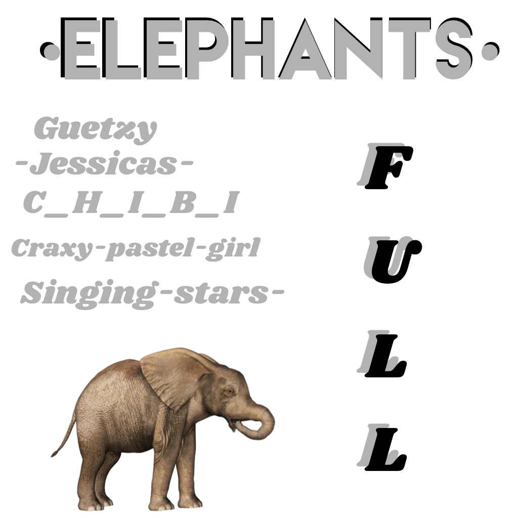 Elephants- full