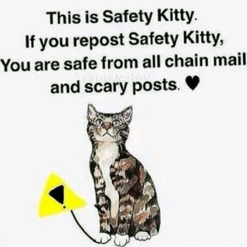 Thanks safety kitty! 😋