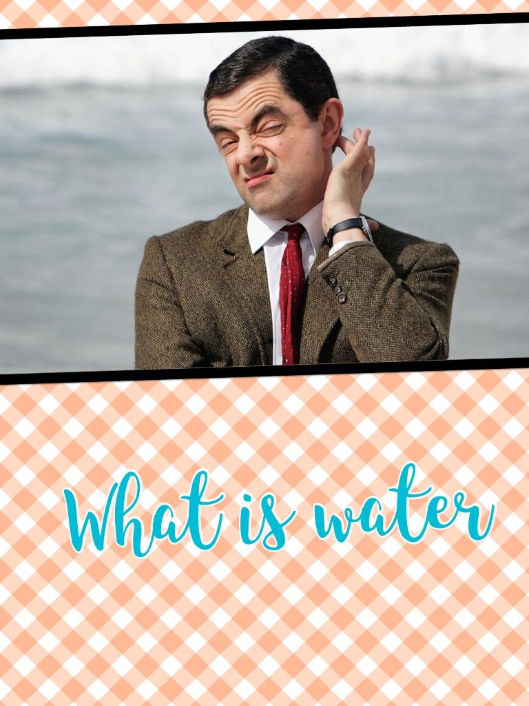 What is water