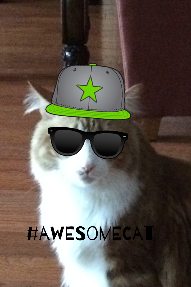 #awesomecat