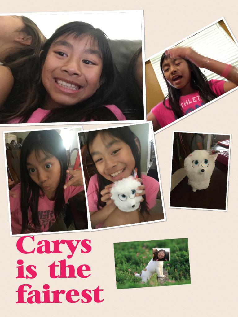 Carys' Funny Pic Collage 
