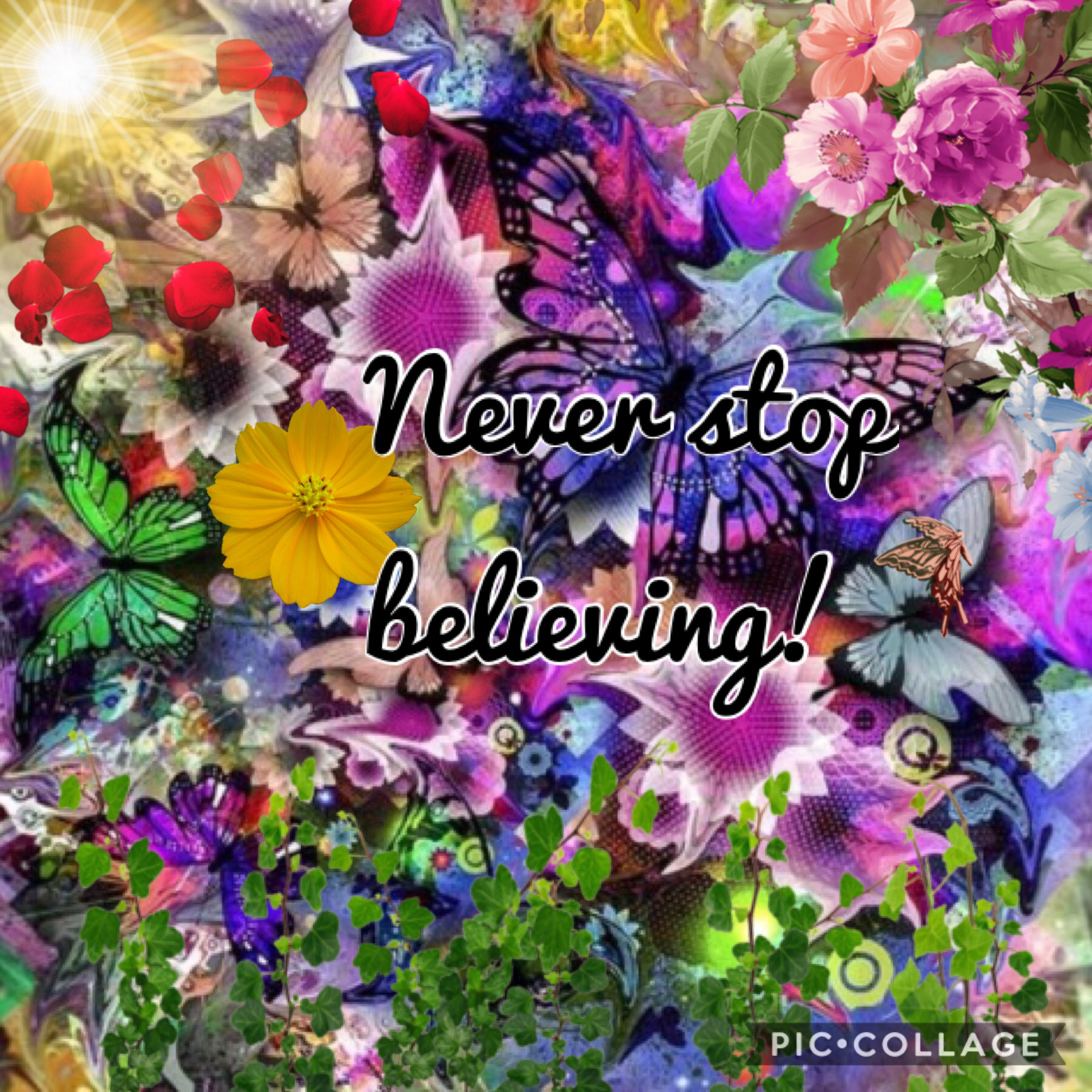 Never stop believing! 🦋