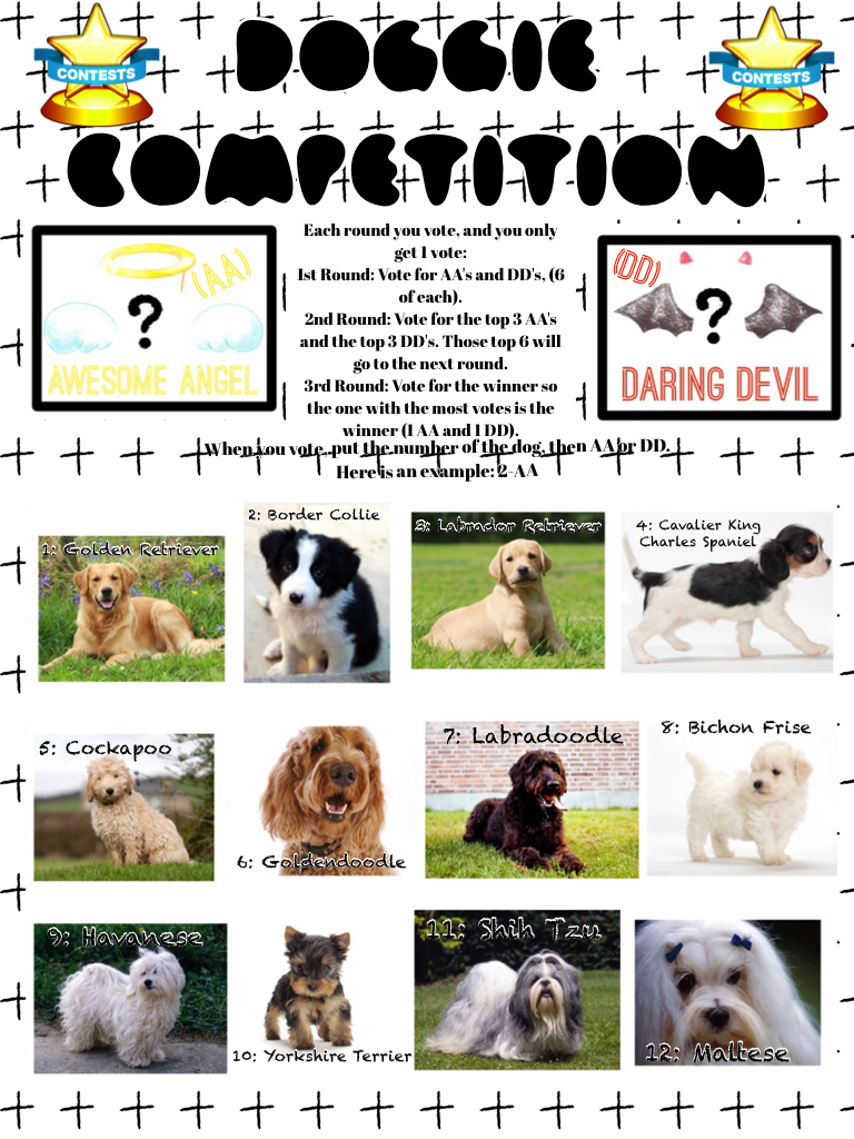 DOGGIE COMPETITION!!!! PLEASE VOTE IN THE COMMENTS!!!