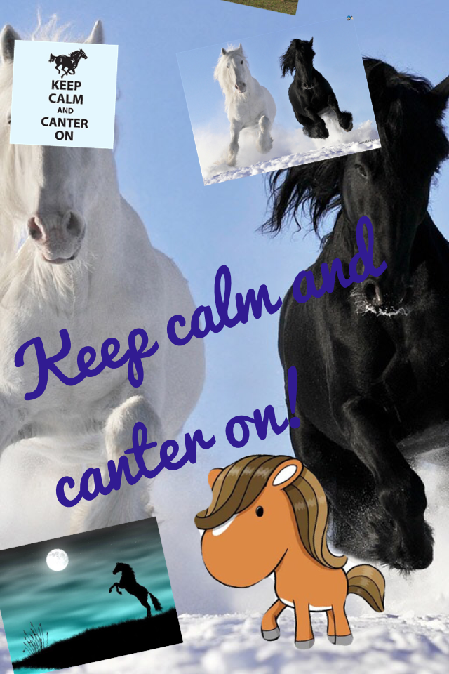 Keep calm and canter on!