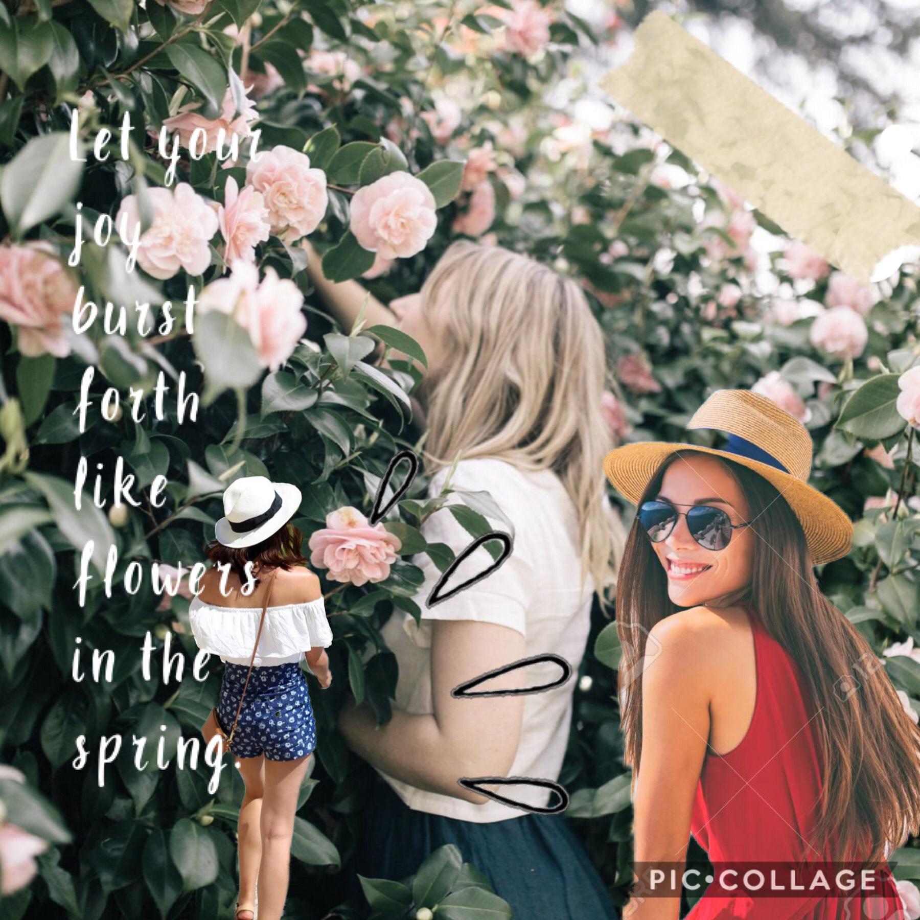 happy spring🌸!!!! 
I tried my best on one of my first collages....
Comment some ideas for my upcoming collages!