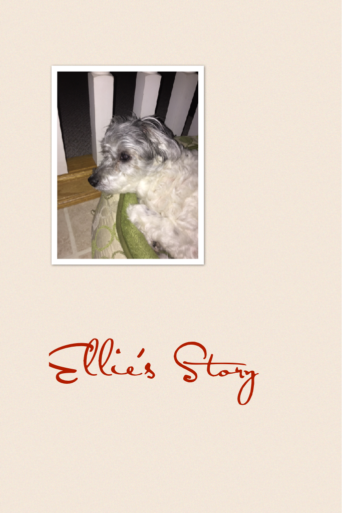 Ellie's Story Pt.1