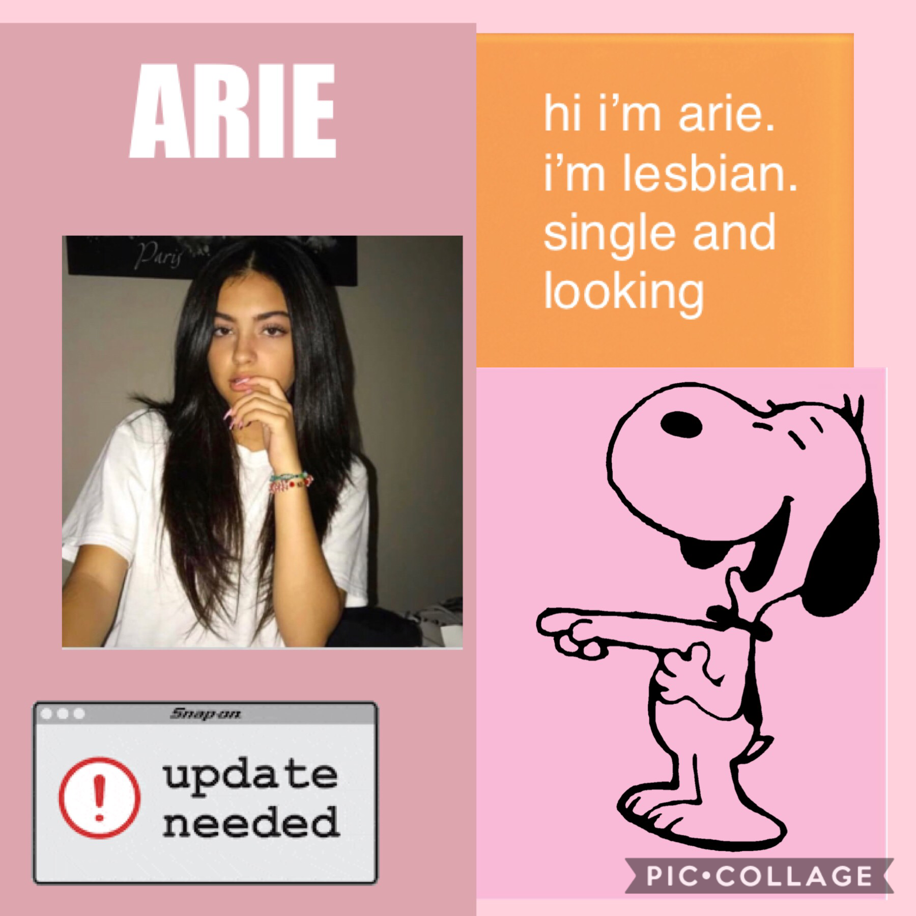 Arie’s Bio