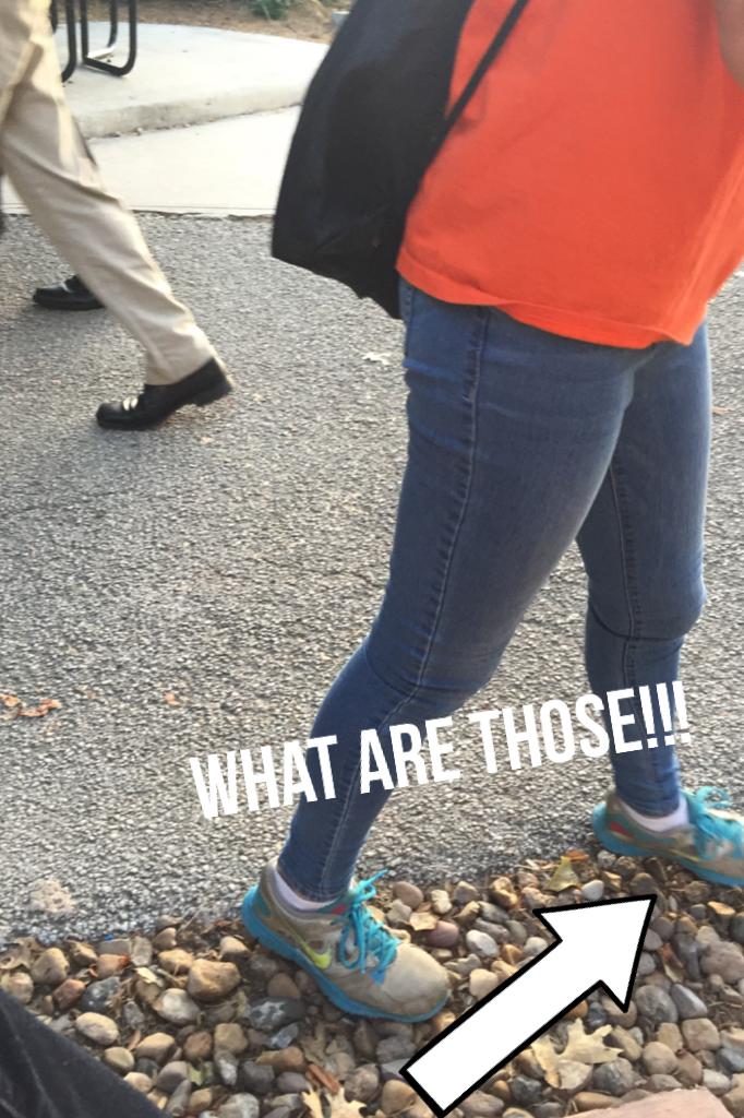What are those!!!