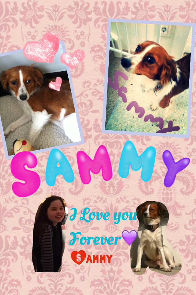 Sammy is my dog 