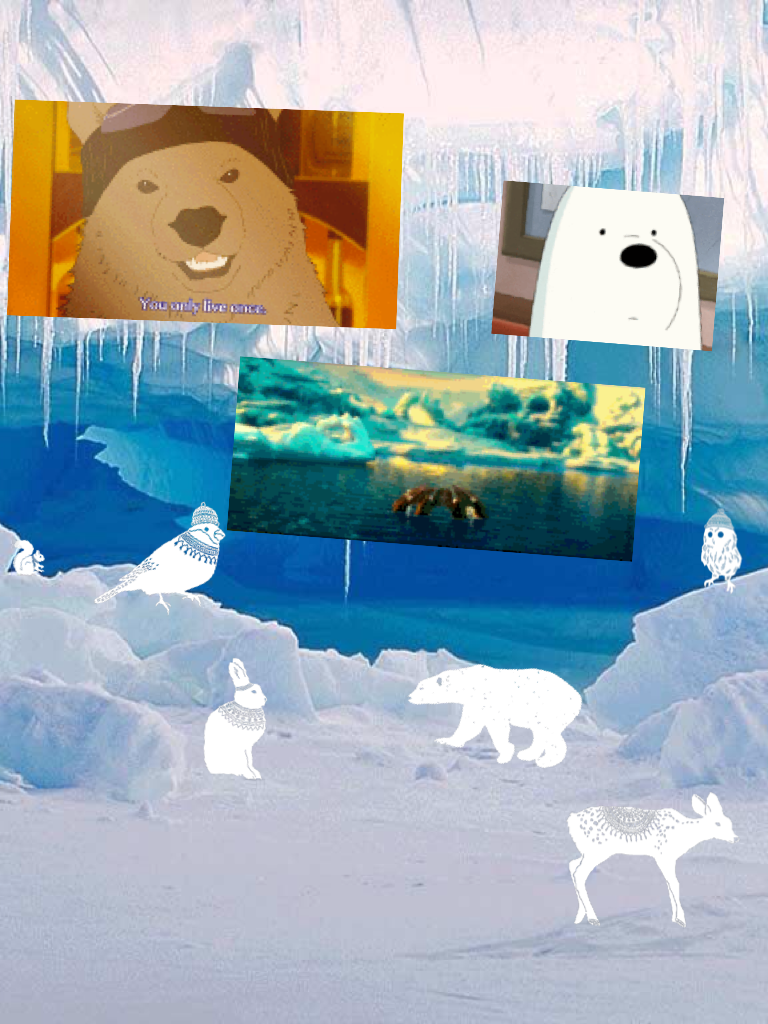 Go polar bears