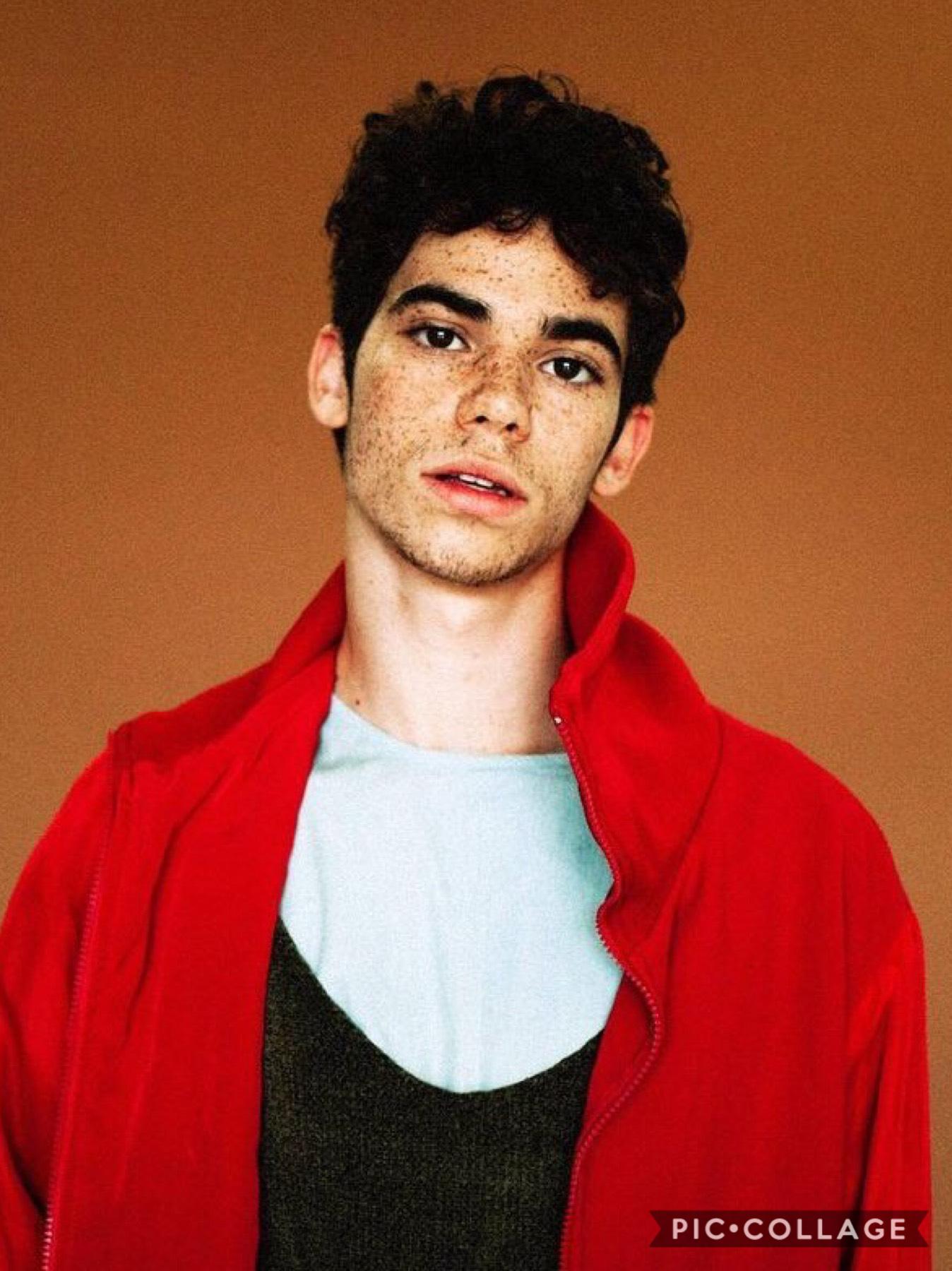He will be forever missed.i remember everyday I would watch Jessie. He was one of the many childhood crushes and still is, we have lost another amazing person as he will never be forgotten. Rest In Peace Cameron Boyce and fly high. 
☁️🌟♥️