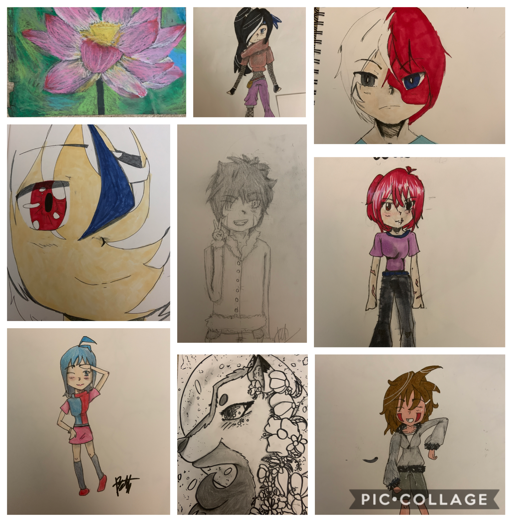 From top left to bottom right, flower using pastels, my favorite Naruto/Pokémon mashup oc, Tora, Shoto Todoroki, a random boy face, Kiba from Naruto but I messed up the marks, my other oc, Kori, random girl, random wolf with flowers and shells, gender-ben
