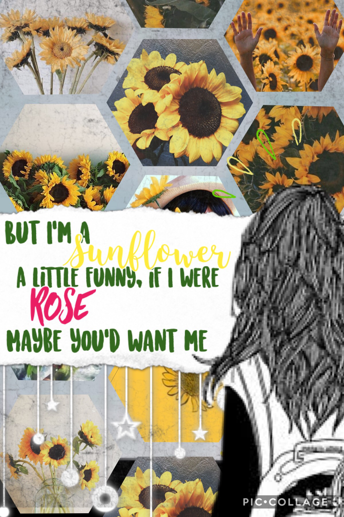 🌻My new favorite song 🌻 
Rate out of 10. I’m really proud of this collage what do you think 🌻🌻🌻🌻🌻