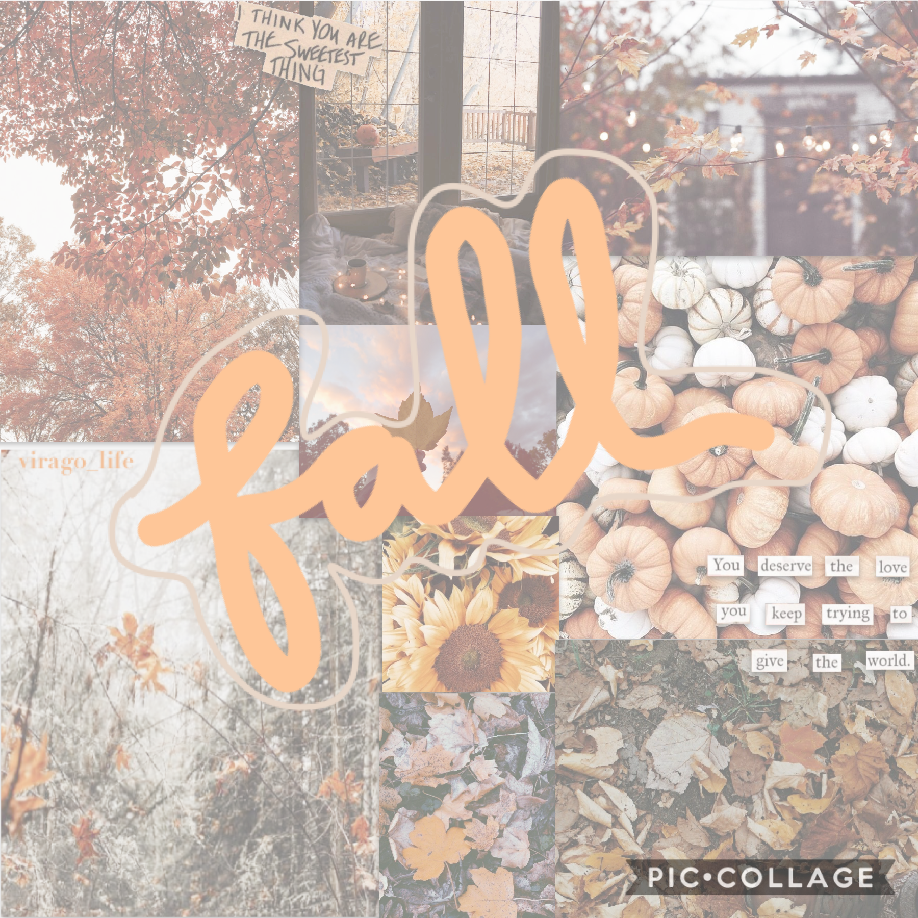 Tap🔥 Here’s a simpler collage! There was a bonfire last night, and how I’m in SUCH A FALL MOOD. I can’t wait until the next bonfire🥰Qotd: Favorite season?
Aotd:Fall love the colors and the weather! Winter is amazing too