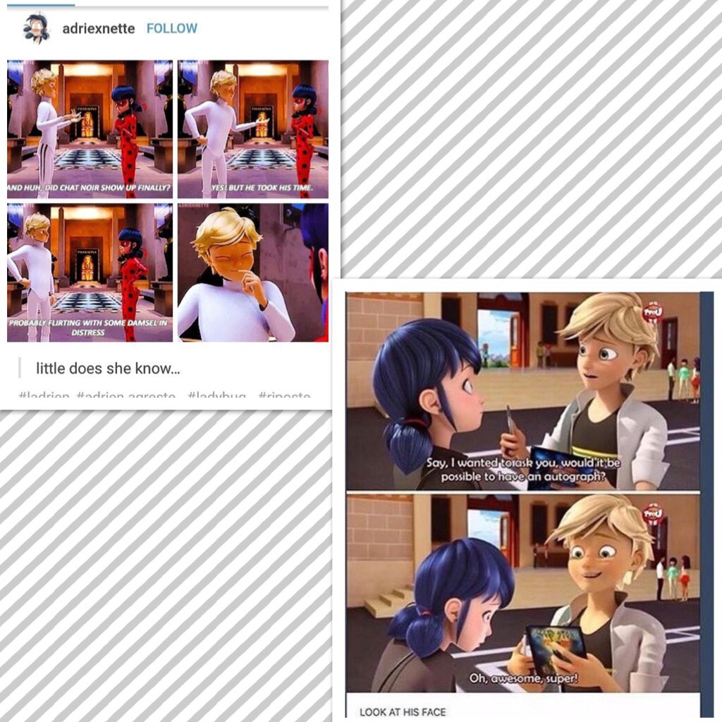 Is it just me or does Adrien like Mari and Ladybug