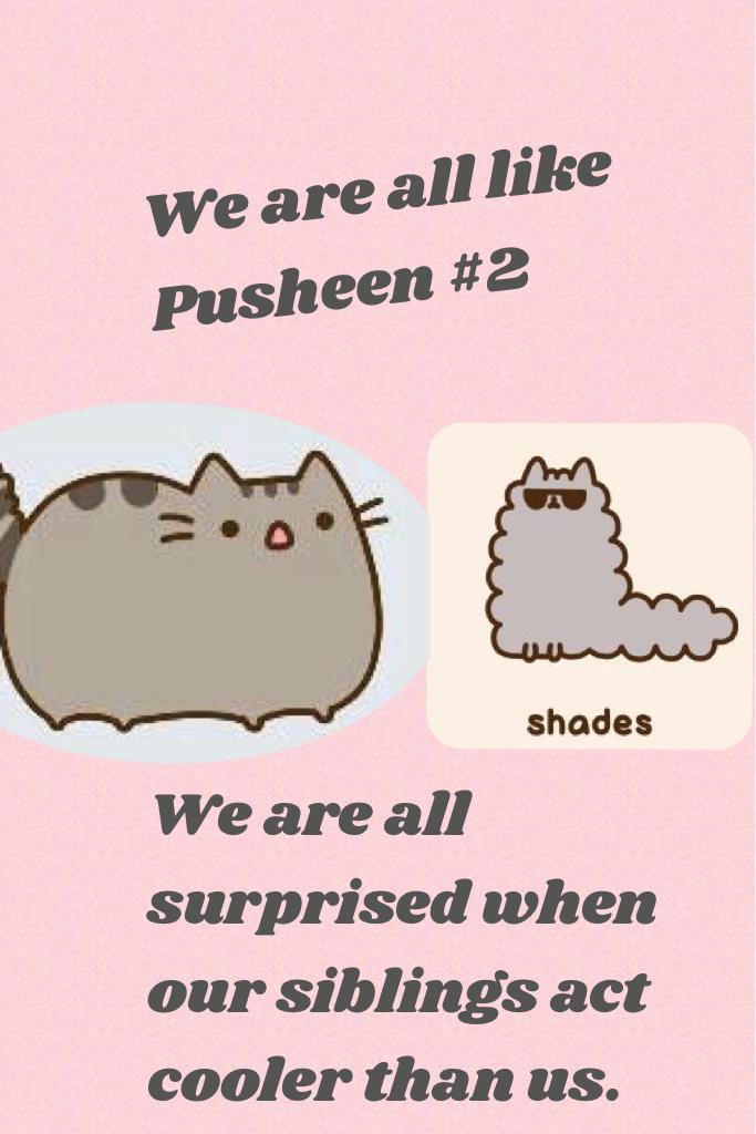 We are all like Pusheen #2