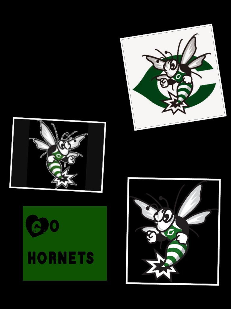 Go hornets 