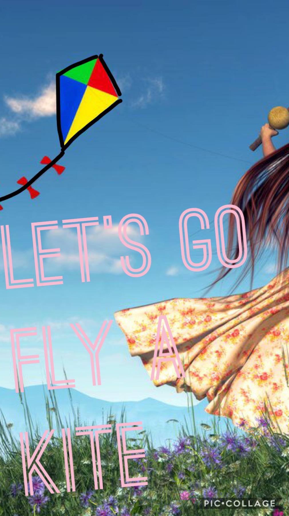 Let’s go fly a kite 