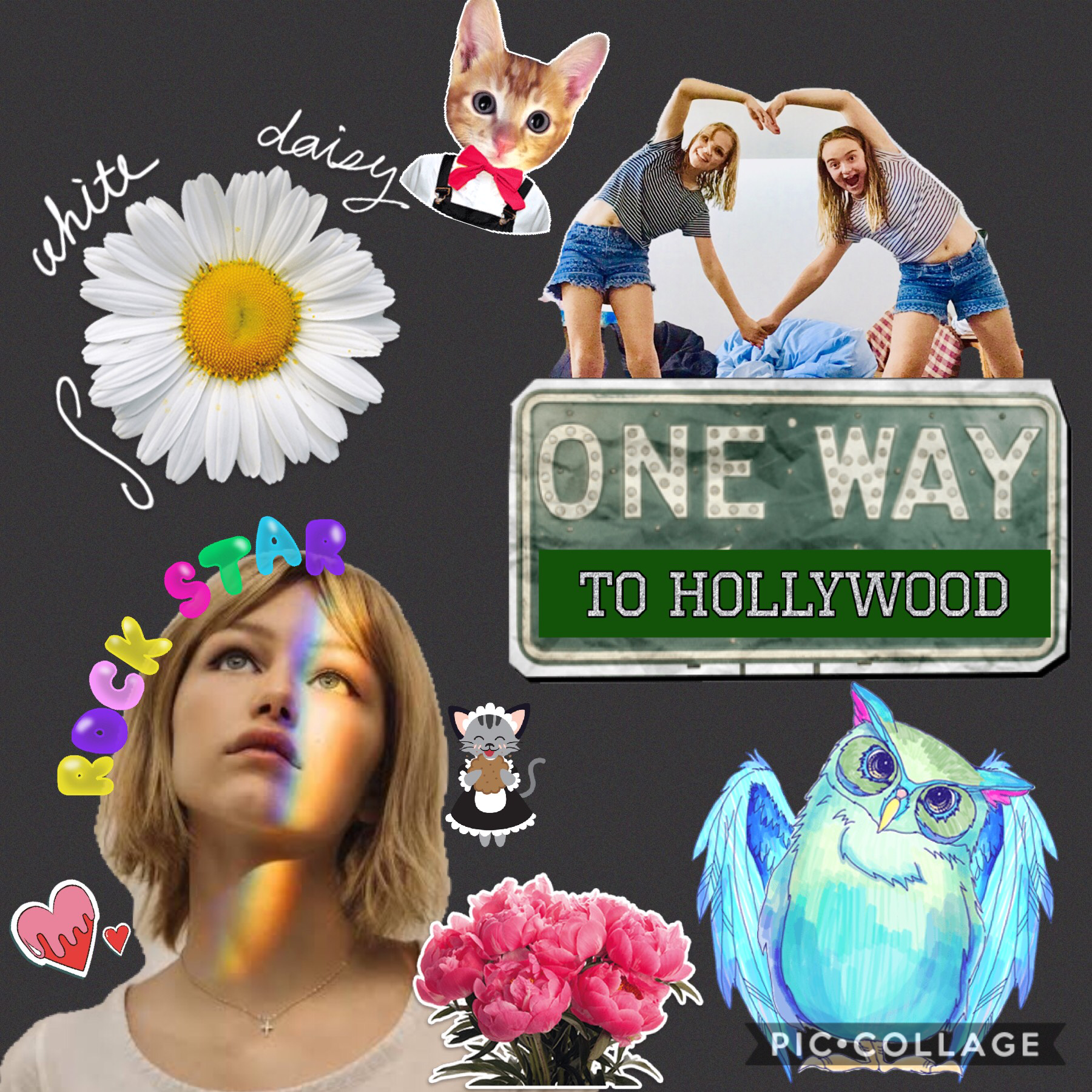 Collage by lucy192837465