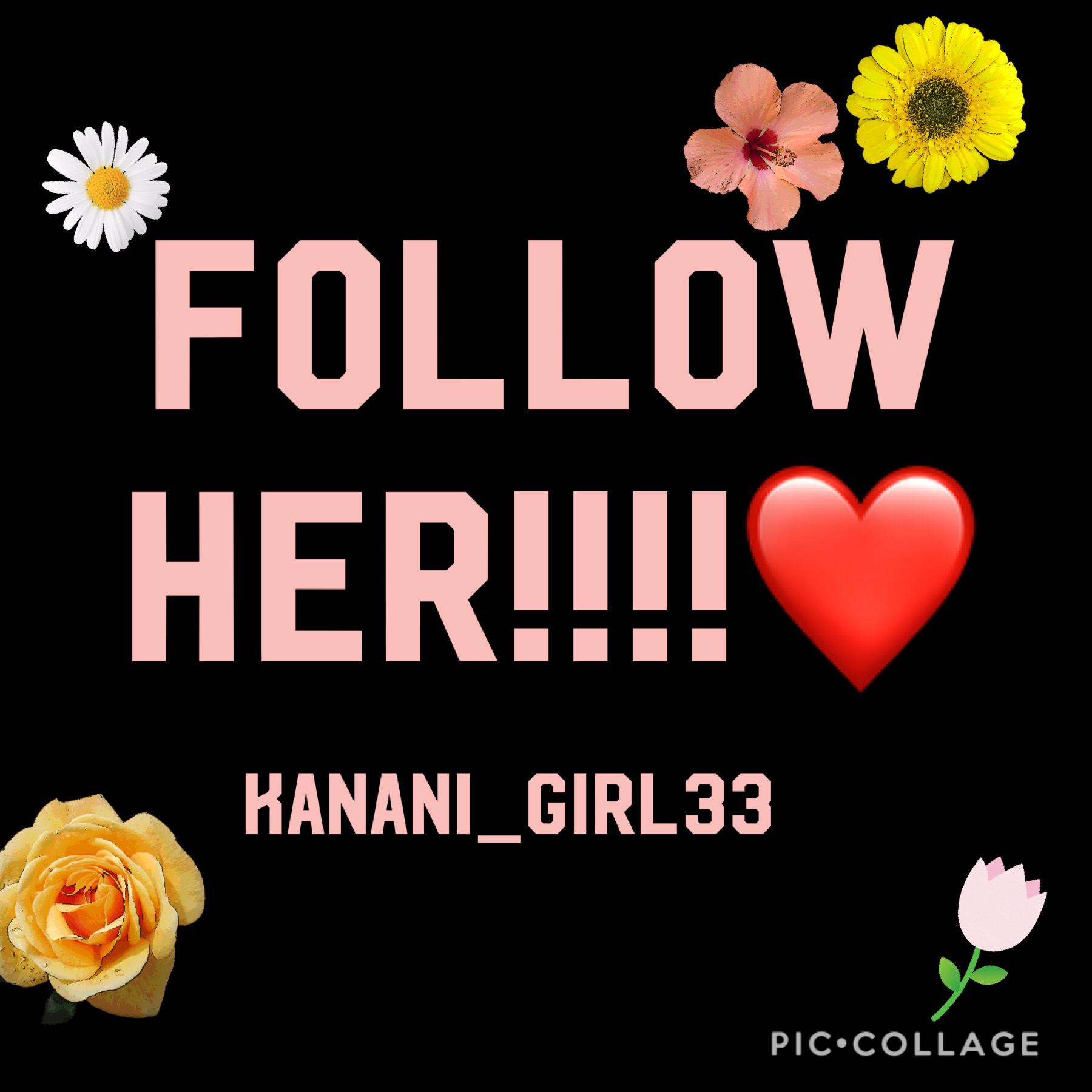 Follow her!!!!!❤️❤️❤️
