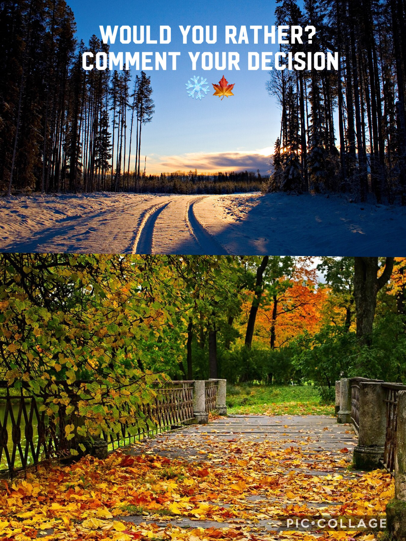 Would you rather winter or fall? Comment your decision plz!!! 