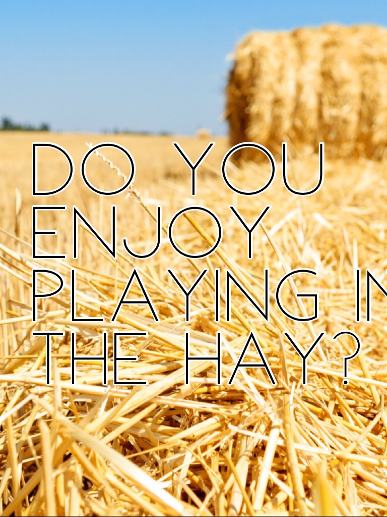 Do you enjoy playing in the hay? plz tell me In the comments 