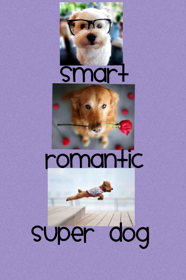 Romantic smart super
