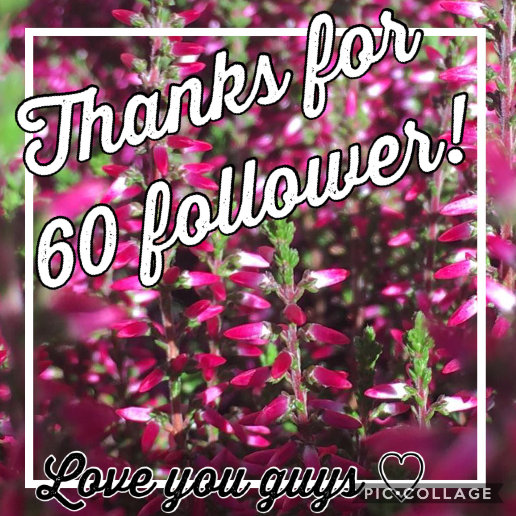 TAAAAP!
Thank you guys sooooo much I‘ m so happy😊🙃
Shoutout to XxBabybluexX135 my 60th follower! Thx😉♥️
