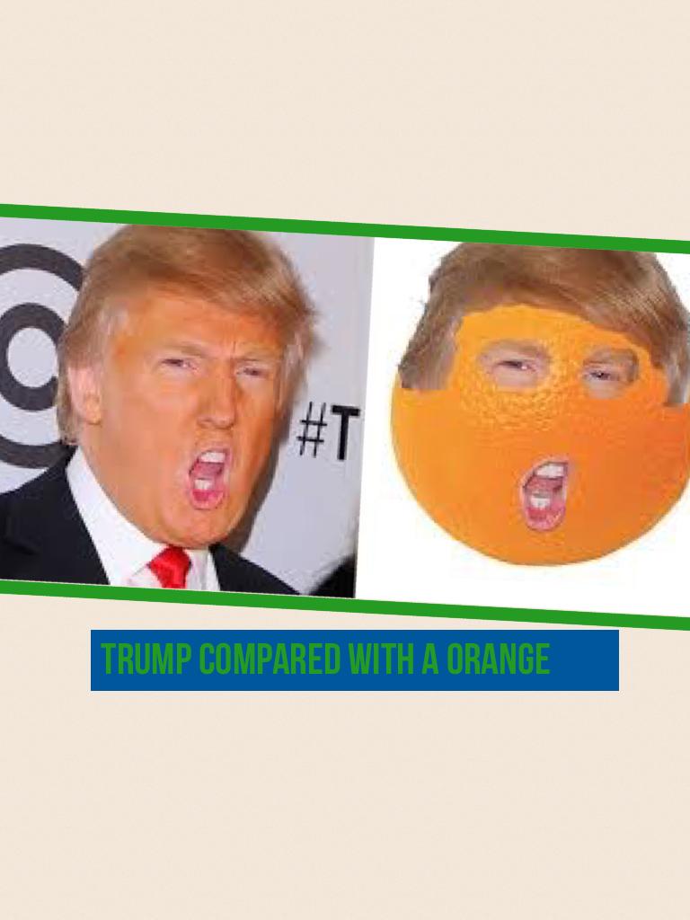 Trump compared with a orange 