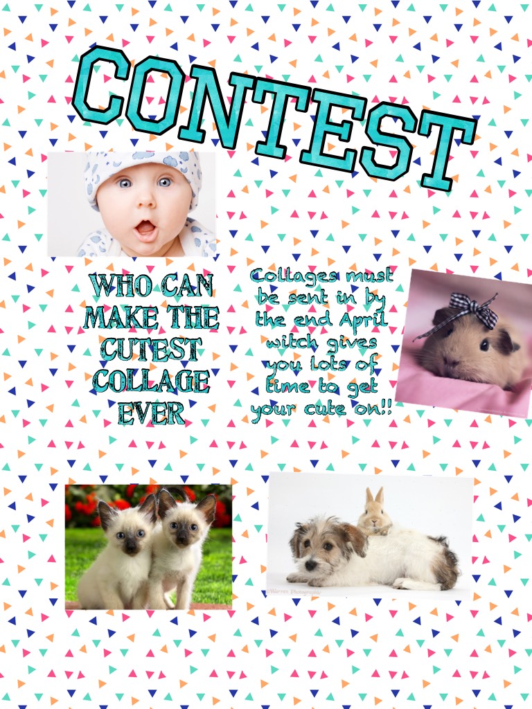 CUTEST contest ever