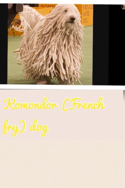 Komondor (French fry) dog