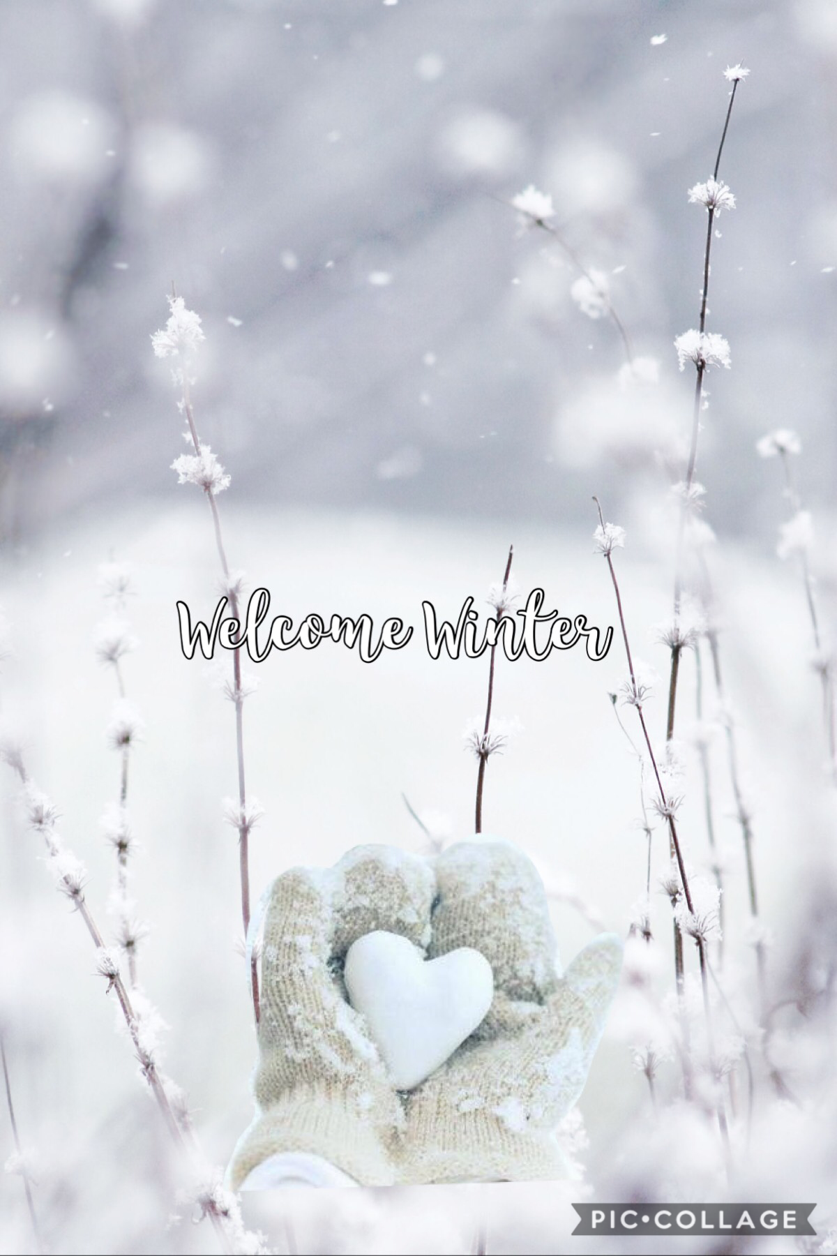Welcome winter