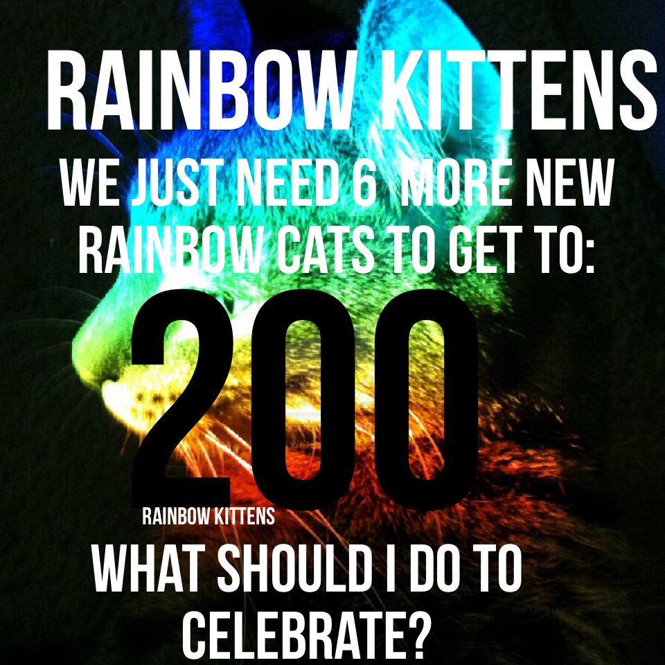 200 rainbow kittens 🌈🐈!!!  Isn't that exiting?! I thought I would never make it that far! 😵❤️ Thank you so much!!! Tell me in the comments what should I do to celebrate??? 📝