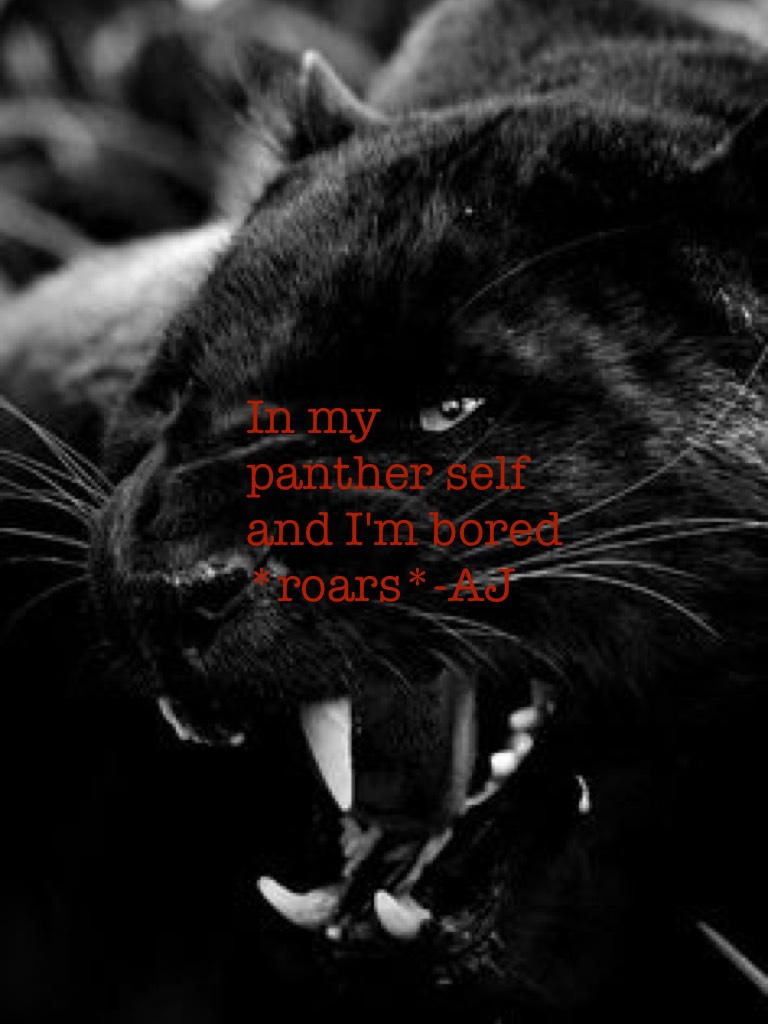 In my panther self and I'm bored *roars*-AJ 