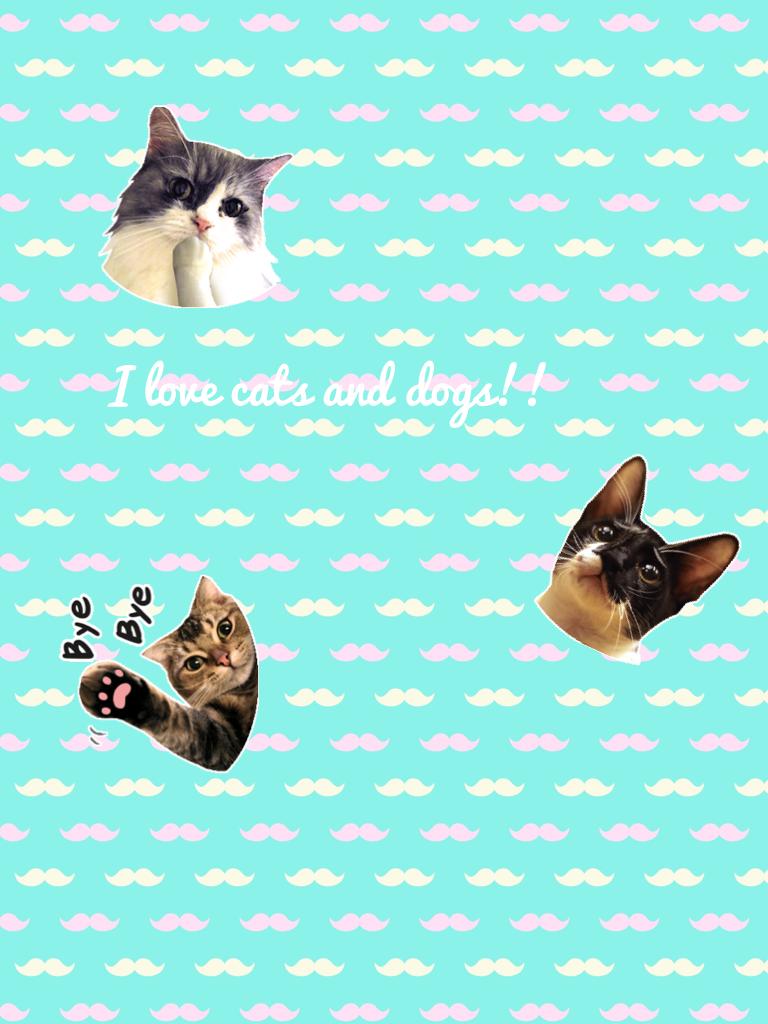 I love cats and dogs!!