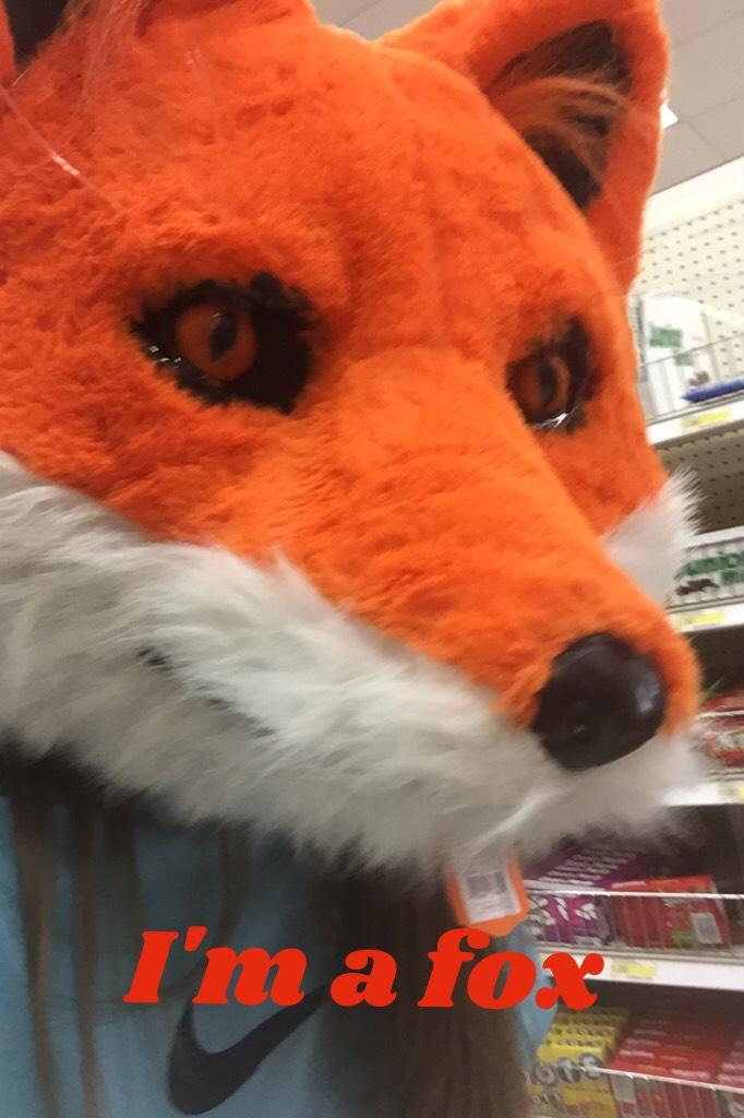 A photo of me in Walmart with a fox head on (fūc I'm goin to get lice)
