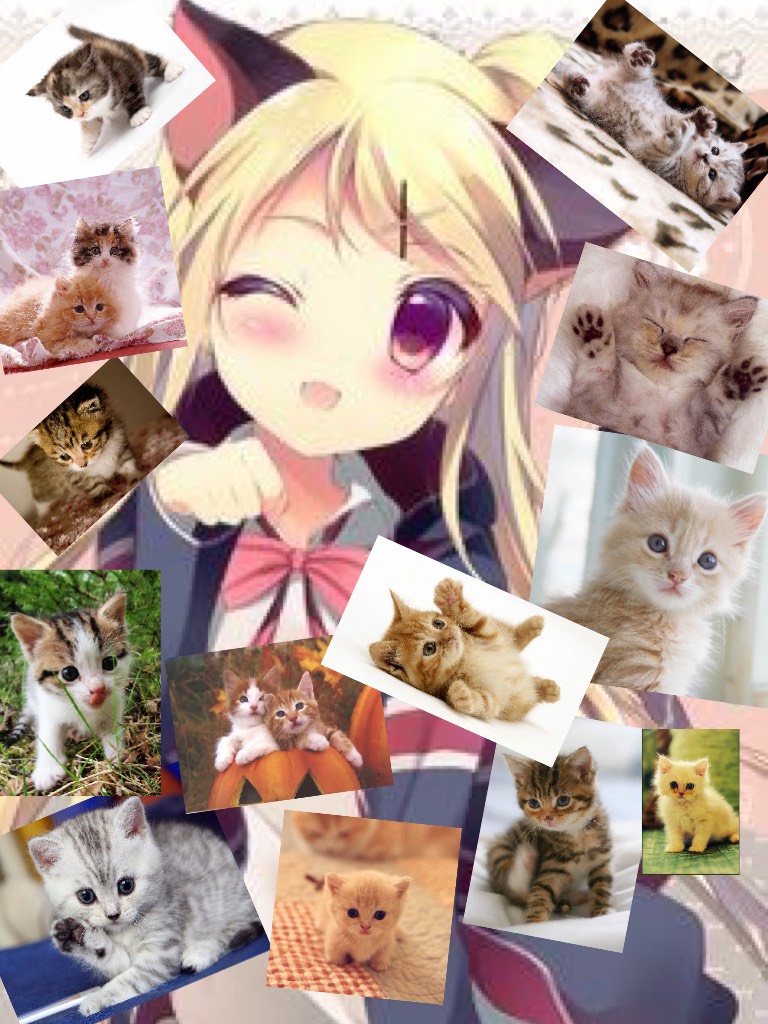 I ♥️ Cats!