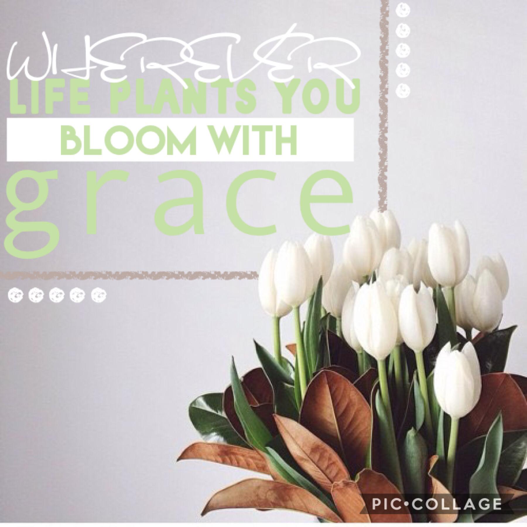 Wherever life plants you bloom with grace 🌱 comment what you think X
